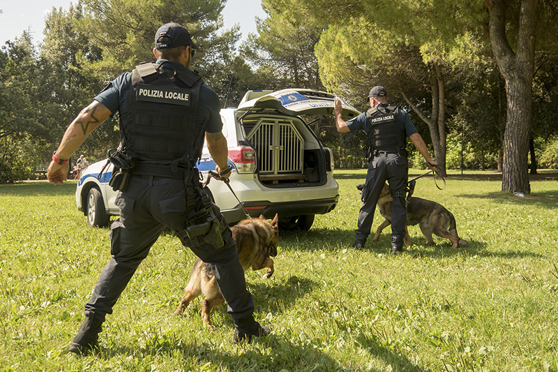 Rimini. La polizia locale arresta un 60enne per spaccio di sostanze stupefacenti