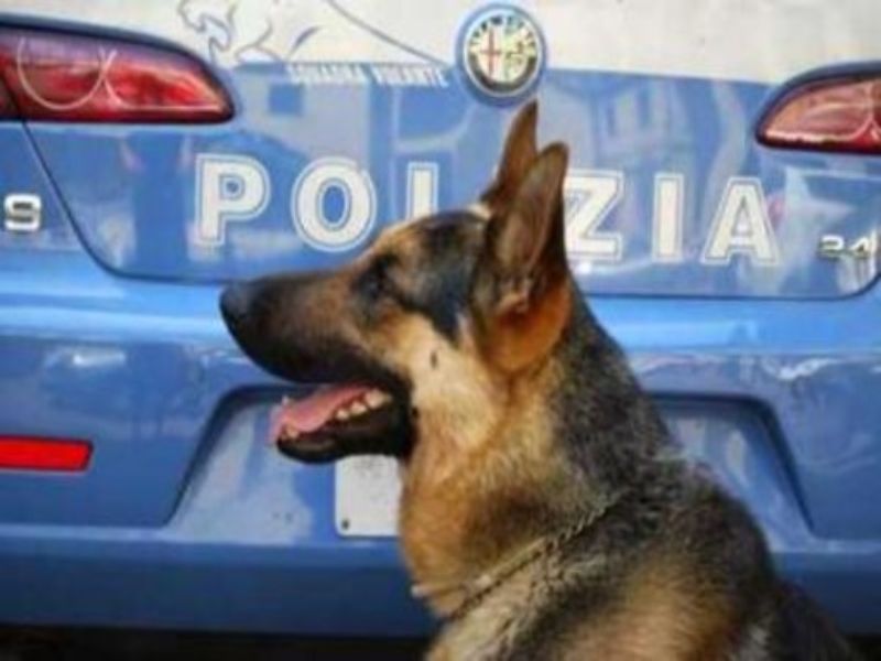 Rimini. Ingente quantitativo di droga rinvenuto grazie all’ausilio dei cani a poliziotto