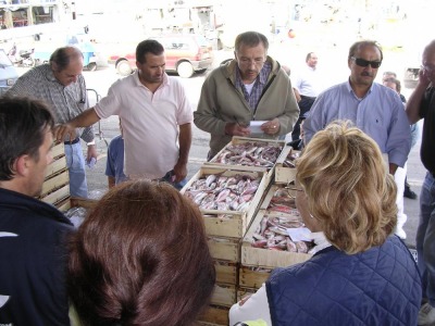 Rimini. Il mercato ittico in rivolta contro l’amministrazione Gnassi. Corriere Romagna