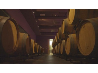 Consorzio Vini Tipici di San Marino: un grande video per l’Expo2015