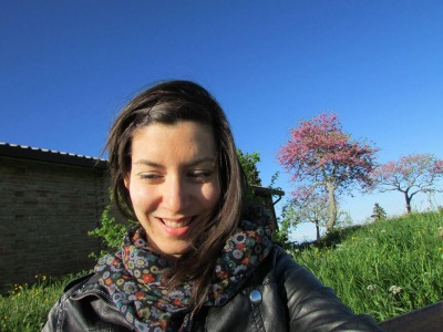 San Marino, liberta’ di stampa: Il volo di un moscone,  Angelica Bezziccari