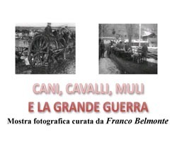 San Marino. Franco Belmonte ‘Cani, Cavalli, Muli  e la Grande Guerra’, Borgo Maggiore h17