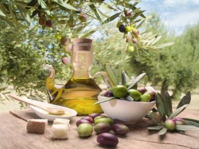 San Marino. Degustazioni d’eccellenza a base di olio d’oliva
