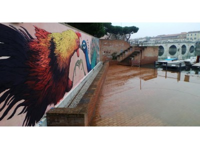 Rimini. Due nuovi murales per la citta’