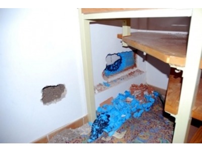 Rimini. Ladri sfondano il muro sbagliato e si ritrovano nelle scale condominiali. La Cronaca NQNews