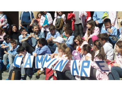 Rimini. Mobilita’ sostenibile: 411 bimbi di 19 classi delle scuole primarie riminesi hanno partecipato al progetto ‘Siamo nati per camminare’