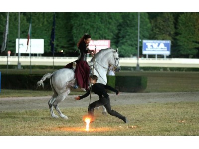 Cesena. All’ippodromo di Cesena le corse di martedi’ 30 luglio con il premio ‘Assicurazioni Generali’