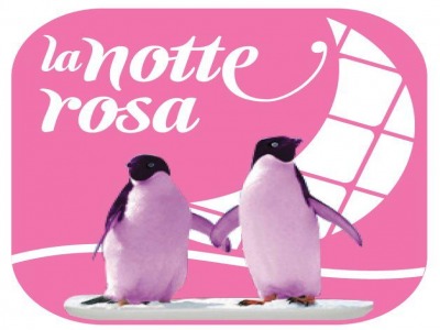 Notte Rosa della Riviera di Rimini: ecco la APP per il capodanno dell’estate