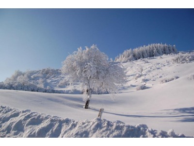 Rimini. I primi fiocchi di neve: in Carpegna impianti aperti l’8 dicembre. Corriere Romagna