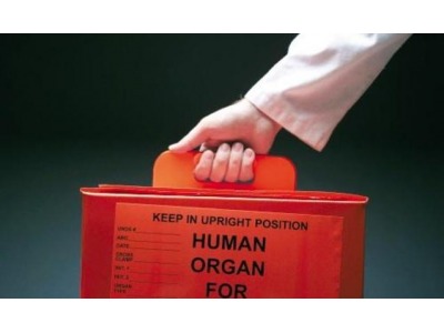 Rimini. Fegato e cornee: una nuova donazione di organi all’Ospedale ‘Infermi’