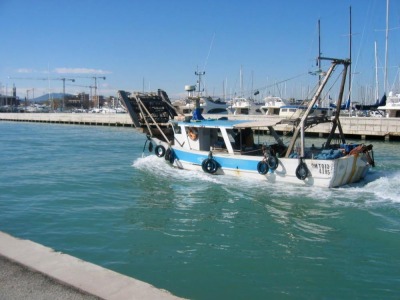 Rimini. Pesca nel caos: alcune vongolare trasgrediscono il fermo pesca: fioccano le multe. Corriere Romagna