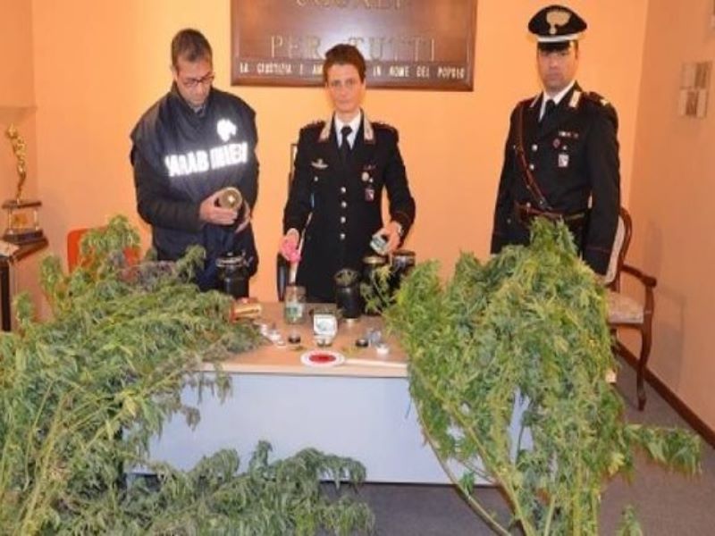 San Marino. Sammarinese residente a Carpegna pizzicato con marijuana nell’orto