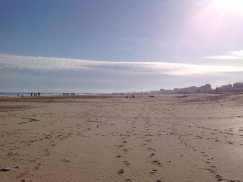 Rimini. In spiaggia anche d’inverno: Comune e operatori balneari al lavoro