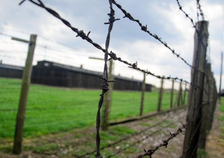 Rimini. Giorno della Memoria, studenti protagonisti in consiglio comunale