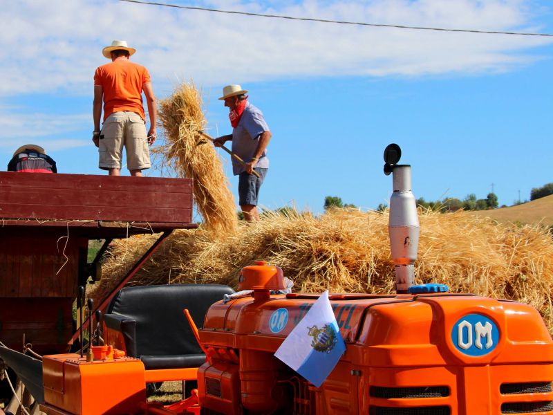 Torna il Raduno di macchine agricole storiche