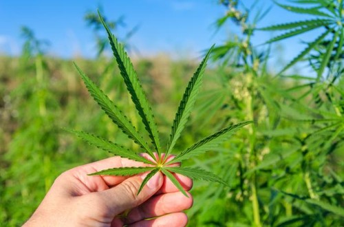 San Marino.  Depenalizzazione della cannabis, incontro pubblico di Rete