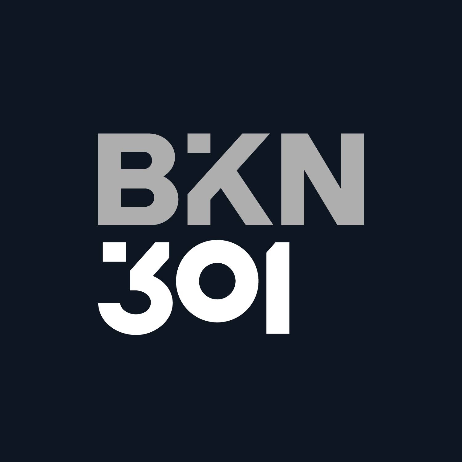 Phishing e frodi telematiche, BKN301: “Mai comunicare i propri dati personali a nessuno”