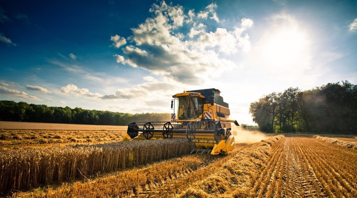 Rimini. «Entro l’anno chiuderà il 10% di aziende agricole e allevamenti »