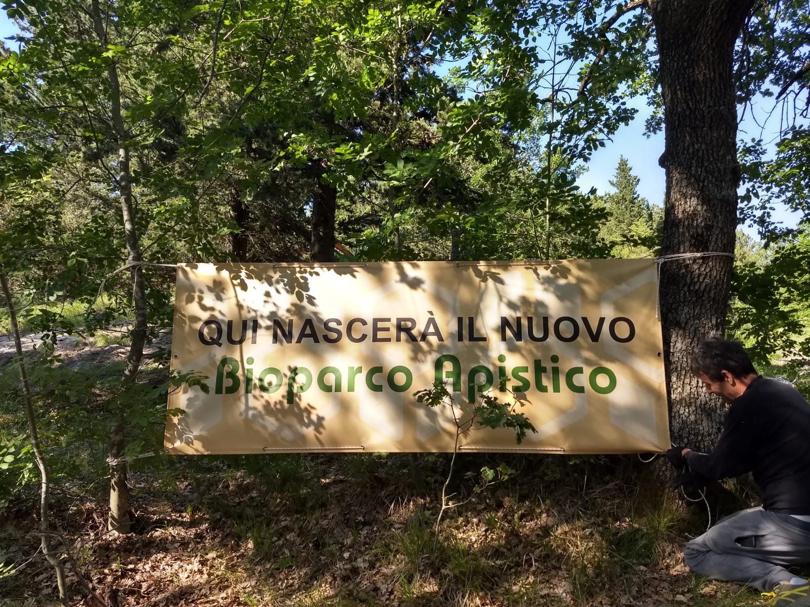 Bioparco apistico a Montecchio, i lavori stanno per cominciare. Canti: “Area di tutela della sottospecie di ape da miele autoctona”