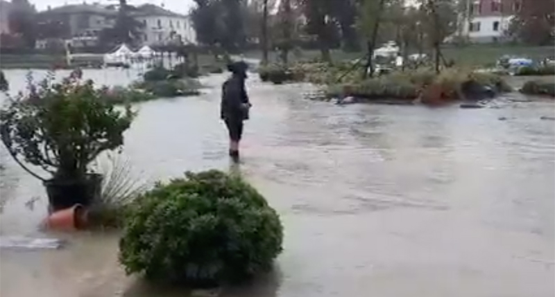 Rimini. Piazza sott’acqua, allagati i ‘Giardini d’autore’. Migliaia di piante da buttare via