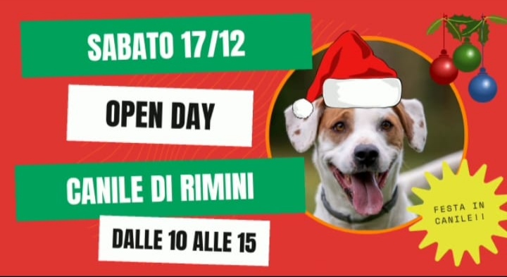 Questo sabato open day natalizio al canile comunale “Stefano Cerni” di Rimini