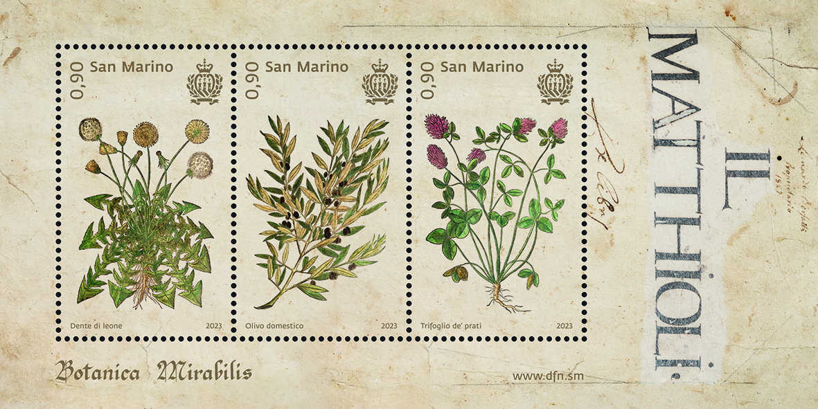 San Marino. Ai nastri di partenza il progetto “Botanica Mirabilis. Il Territorio tra Arte e Natura”