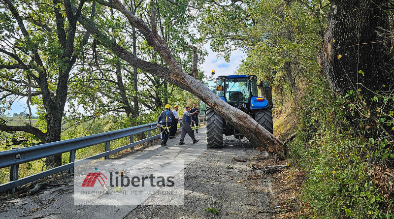 San Marino spazzata dalle raffiche di vento, in strada alberi e rami caduti. Per domani nuova allerta meteo