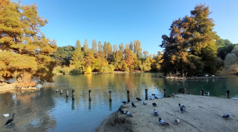 Parco della Cava a Rimini, il laghetto tracima: «Sottopasso bloccato per settimane»