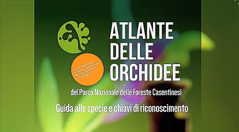 San Marino. “Atlante delle Orchidee”: il 27 febbraio presentazione del libro di Paolo Laghi