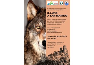 Un incontro sulla presenza del lupo a San Marino