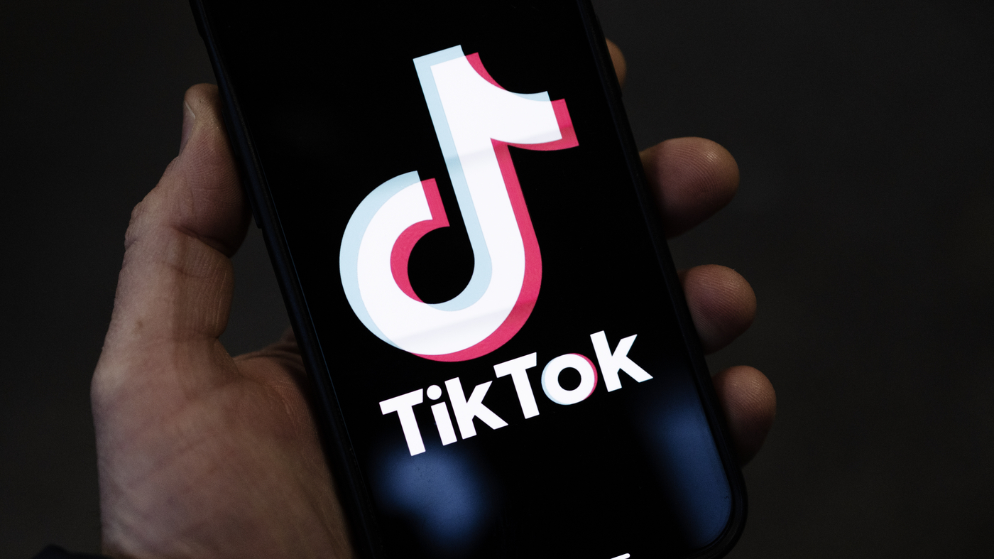 San Marino. Multa da 3,5 milioni a TikTok dal Garante privacy