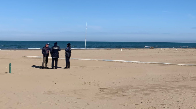 Delimitata la spiaggia in cui nidifica il fratino tra Rimini e Riccione: vietato l’accesso ai cani fino al 2 novembre